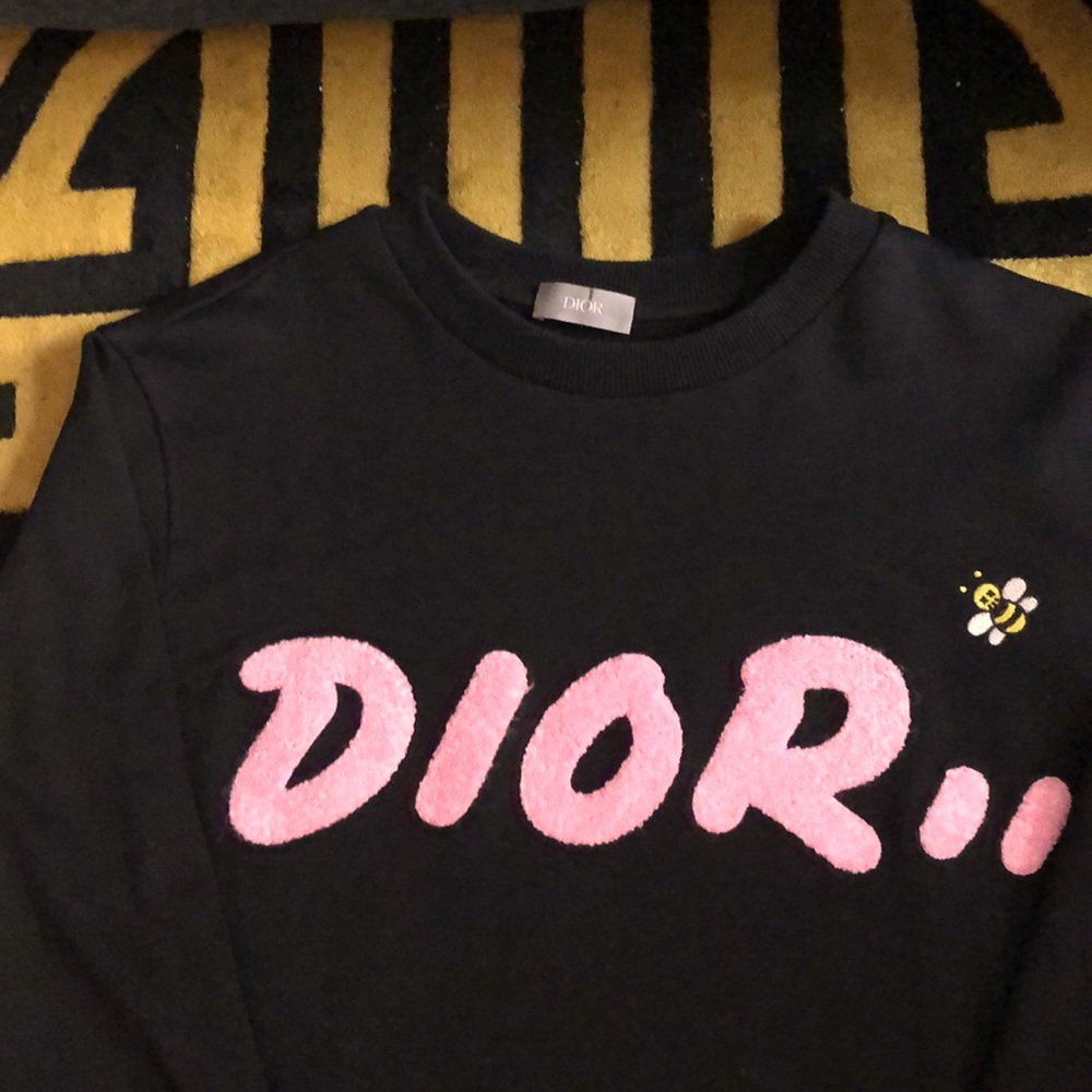 Dior x Kaws stylish sweatshirt. Attention getter